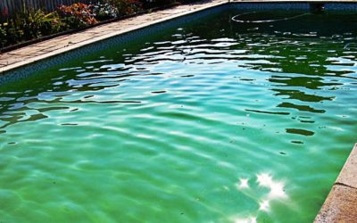 Comment rattraper une eau de piscine verte ?